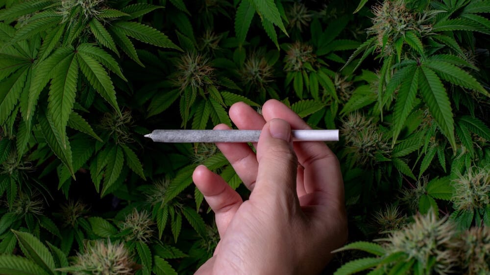 Детоксикация марихуаны